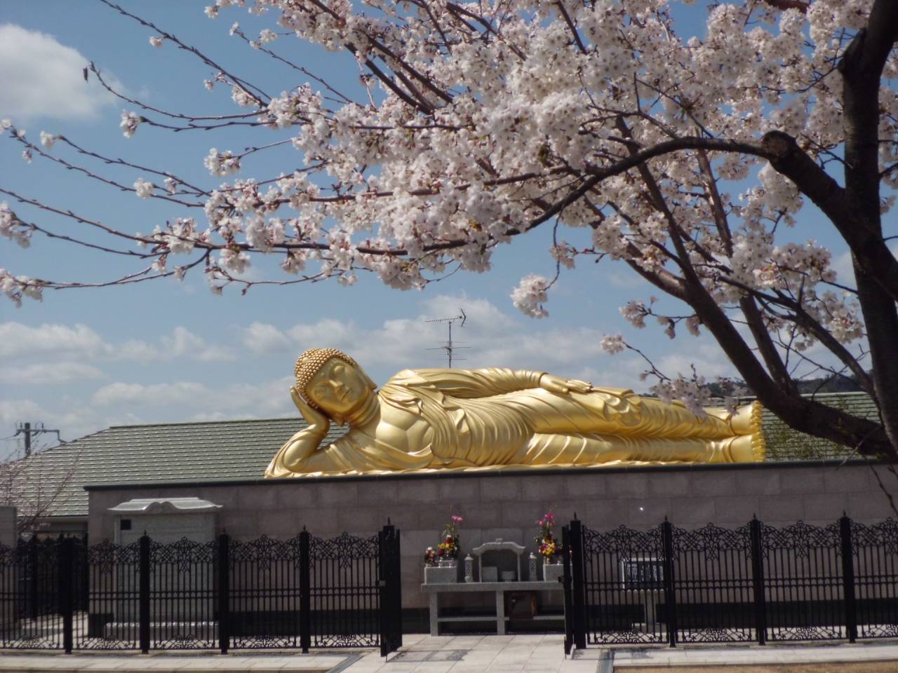 宗教法人愛の道教団本部